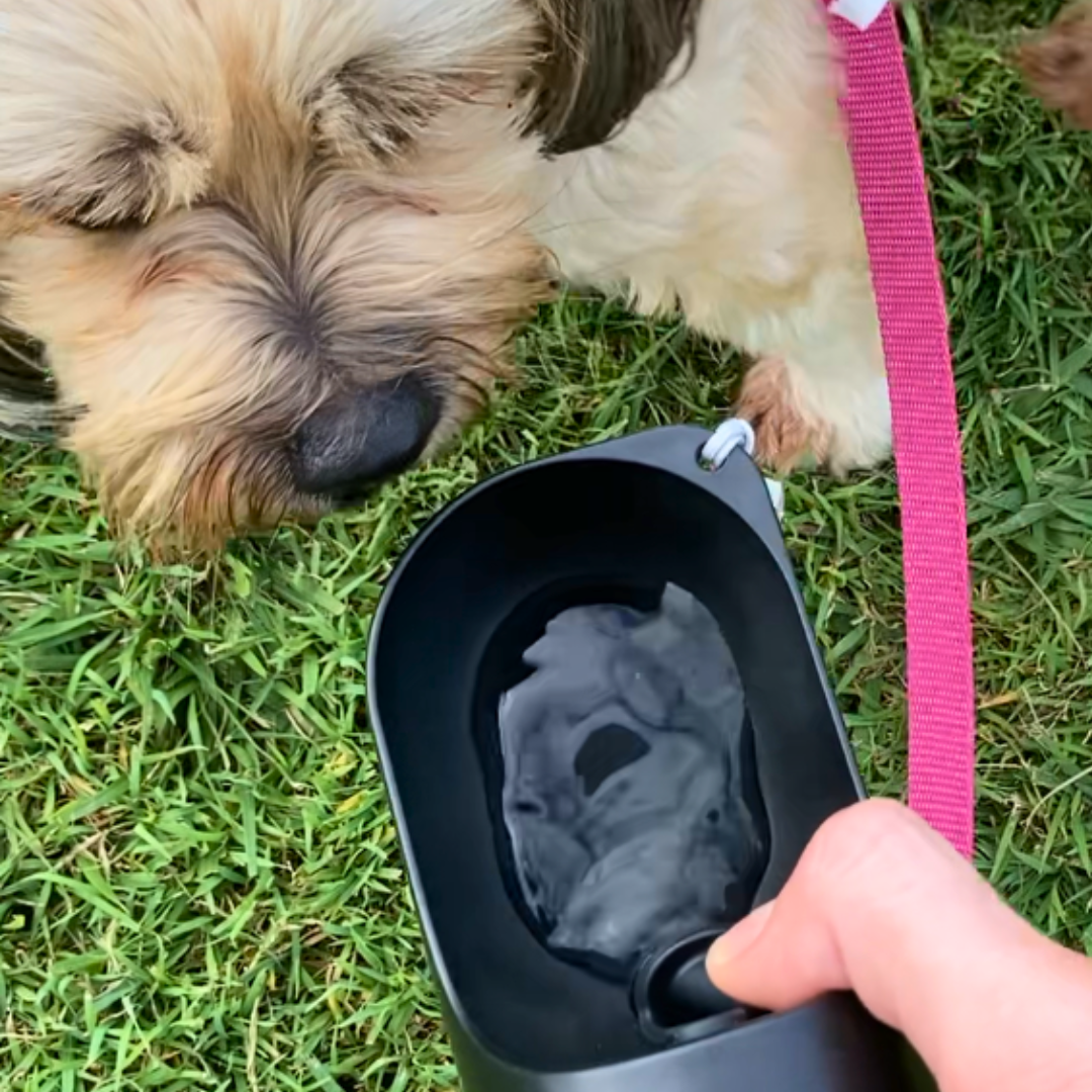 Black Dog water bottle