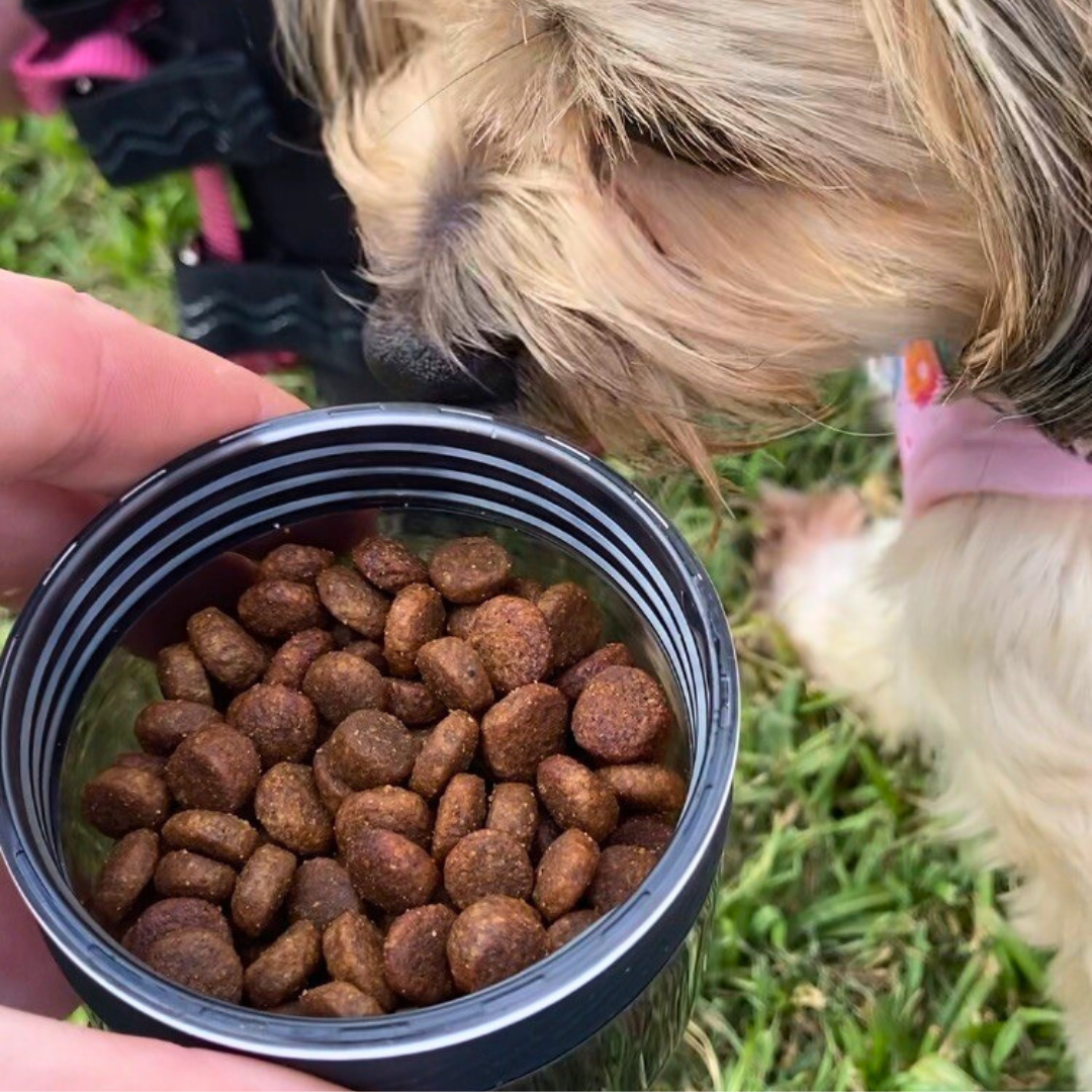 Person holding a container of dog food with a small dog sniffing it outdoors.