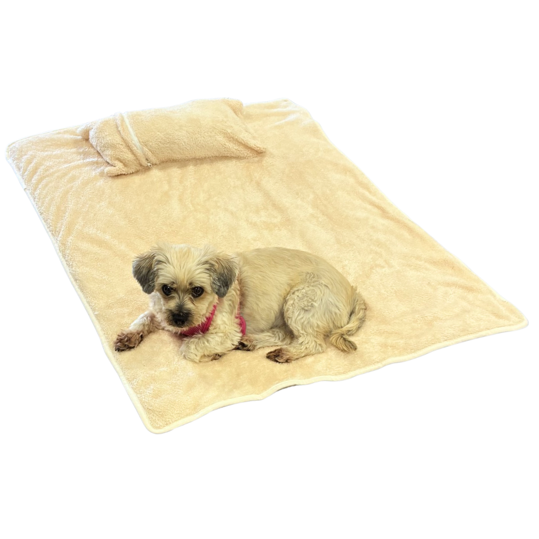 A small beige dog lies on a soft cream-colored blanket with a matching pillow, photographed on a plain white background.