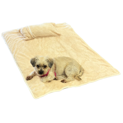 A small beige dog lies on a soft cream-colored blanket with a matching pillow, photographed on a plain white background.
